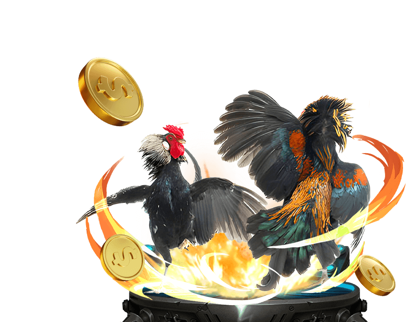 Đá Gà tại 789win club